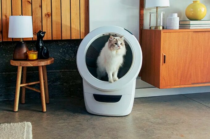 Litter-Robot 4 новое поколение умных, самоочищающихся туалетов для ваших кошек